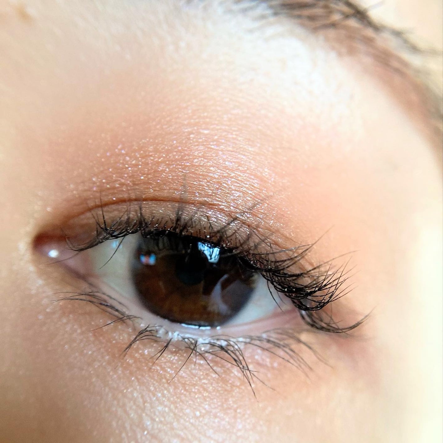 ジャパン イン ブルーム アイシャドウ パレット/ローラ メルシエ/アイシャドウパレットを使ったクチコミ(10枚目)