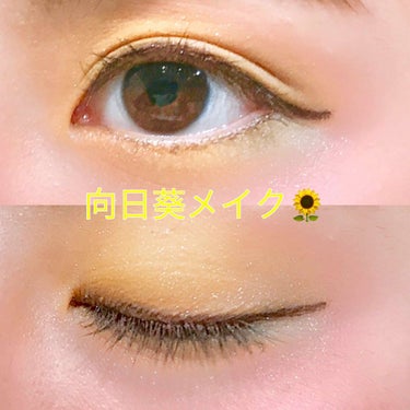 30COLORSEYESHADOWPALETTE/Dolly Angel/パウダーアイシャドウを使ったクチコミ（1枚目）