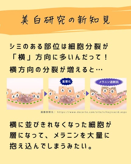 とまと村長@化粧品研究者 on LIPS 「←スキンケアマニアは要チェック!化粧品会社に勤めているとまと村..」(4枚目)