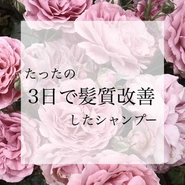 こんにちは︎︎☁︎︎*.

今日はみんな大好き「ボタニスト」のシャンプーとリンスを紹介したいと思います🙌

使ってからわずか3日で「髪質変わった？」「さらさらだ〜♡」と言われるようになりました！

値段