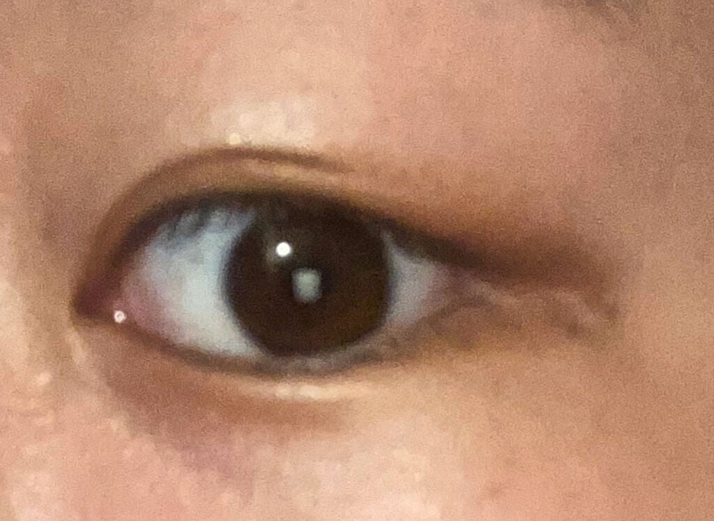 WHY NOT SPINNS 3色アイシャドウ/DAISO/アイシャドウパレットを使ったクチコミ(3枚目)