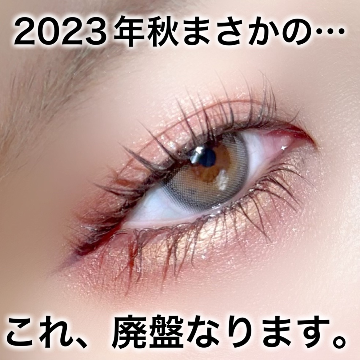 シルキースフレアイズ/キャンメイク/アイシャドウパレットを使ったクチコミ（1枚目）