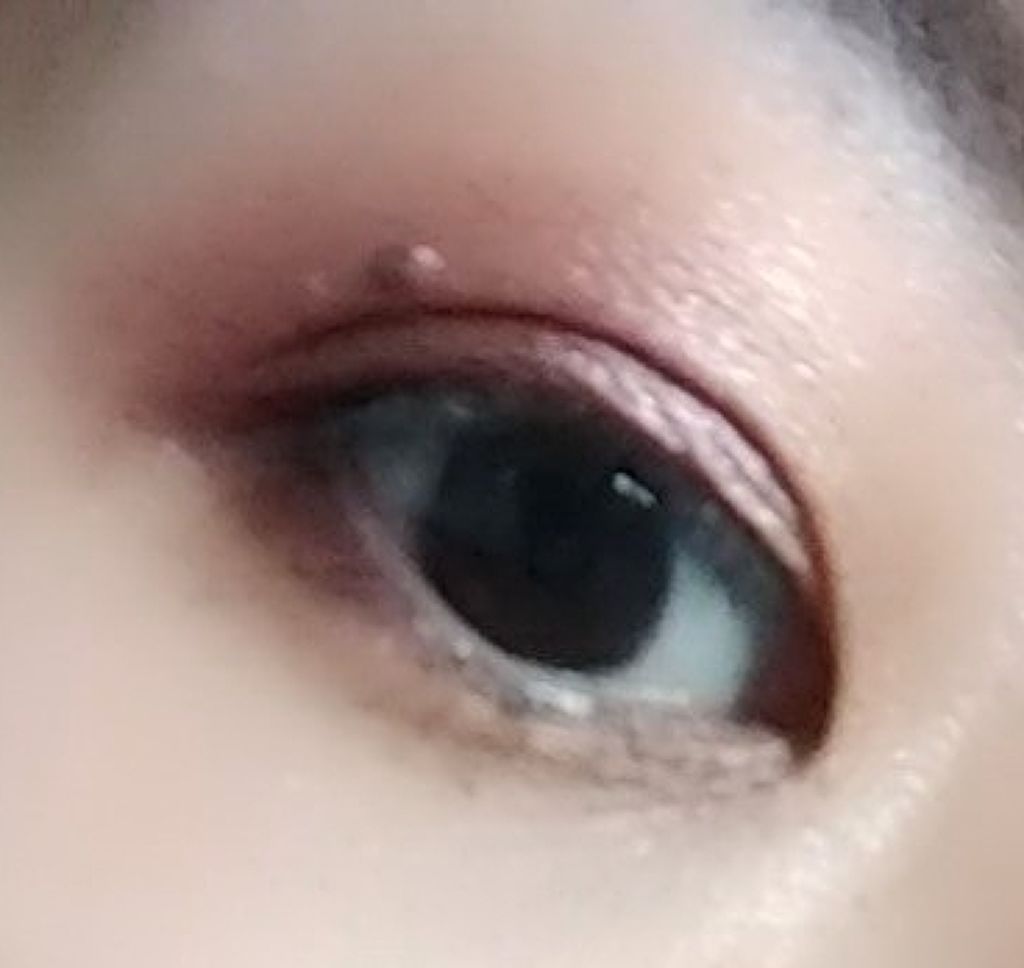 チョコレート ピンク ラブ アイシャドウ/HOJO/アイシャドウパレットを使ったクチコミ(3枚目)