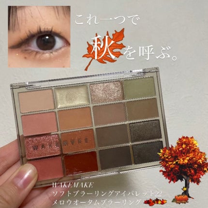 ソフトブラーリングアイパレット/wakemake/アイシャドウパレットを使ったクチコミ(1枚目)