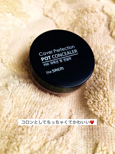 COVER PERFECTION POT CONCEALER/the SAEM/コンシーラーを使ったクチコミ（1枚目）