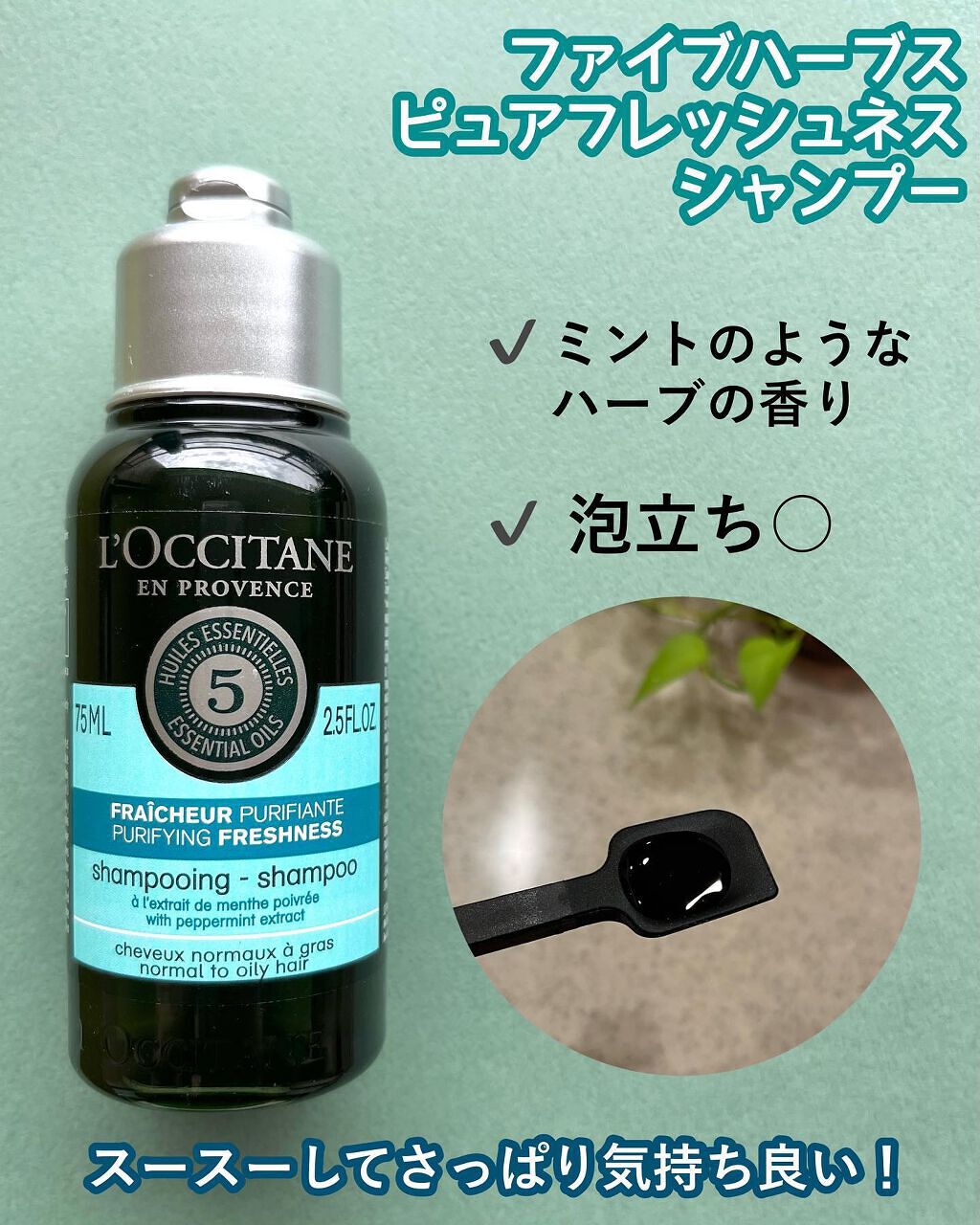 ファイブハーブス ピュアフレッシュネス シャンプー/コンディショナー/L'OCCITANE/市販シャンプーを使ったクチコミ(2枚目)