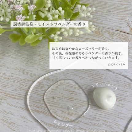 スカルプ&ヘア シャンプー/トリートメント モイスト/wicot/市販シャンプーを使ったクチコミ(4枚目)