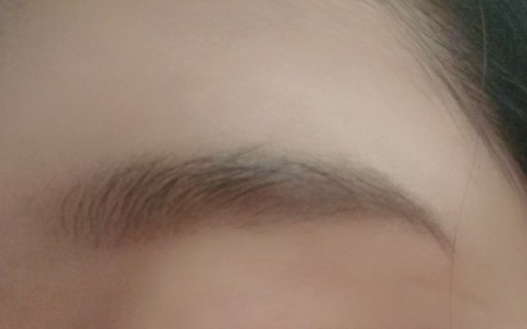 チョコ アイブロウ パウダー ケーキ/SKINFOOD/パウダーアイブロウを使ったクチコミ（1枚目）