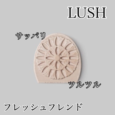 【ツルツルサッパリする固形洗顔料】
ラッシュのフレッシュフレンド
LUSHはスクラブのイメージが強いですが、
固形石鹸もめちゃくちゃ良いんです！
こちらは油分を整えてさっぱりさせてくれるのでオイリー肌の