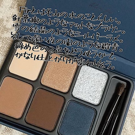 アイカラーパレット/heme/アイシャドウパレットを使ったクチコミ(4枚目)