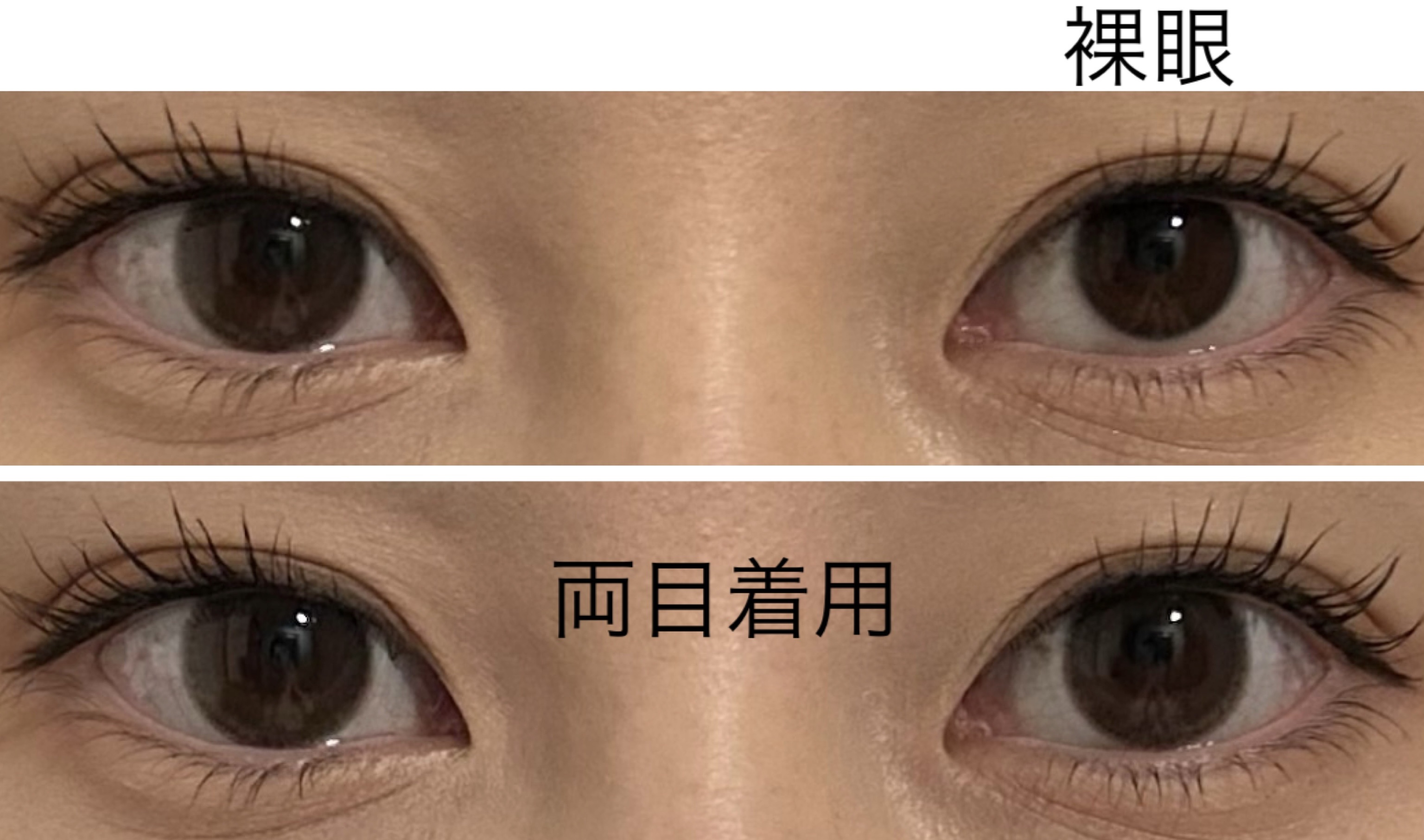 AND MEE 1day シフォン/AngelColor/ワンデー（１DAY）カラコンを使ったクチコミ（3枚目）