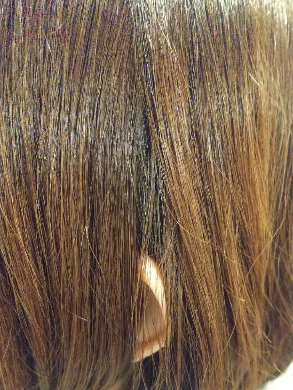 オーガニック シャンプー/トリートメント<ダメージリペア>/AROMA KIFI/シャンプー・コンディショナーを使ったクチコミ(2枚目)