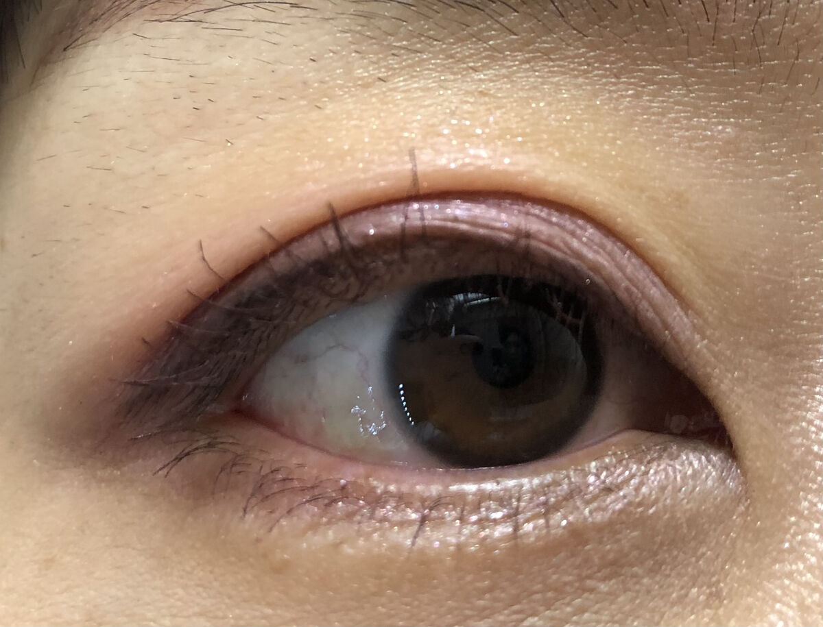 アイカラーレーション/LUNASOL/アイシャドウパレットを使ったクチコミ（2枚目）