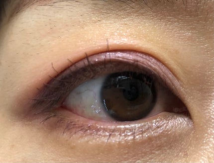 アイカラーレーション/LUNASOL/アイシャドウパレットを使ったクチコミ(2枚目)