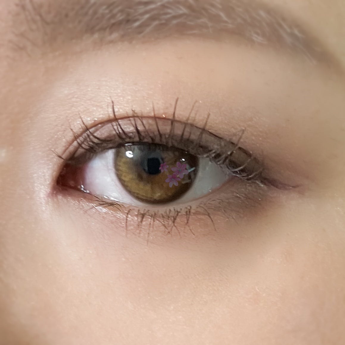 ハイパーリフトマスカラ/D-UP/マスカラを使ったクチコミ(3枚目)