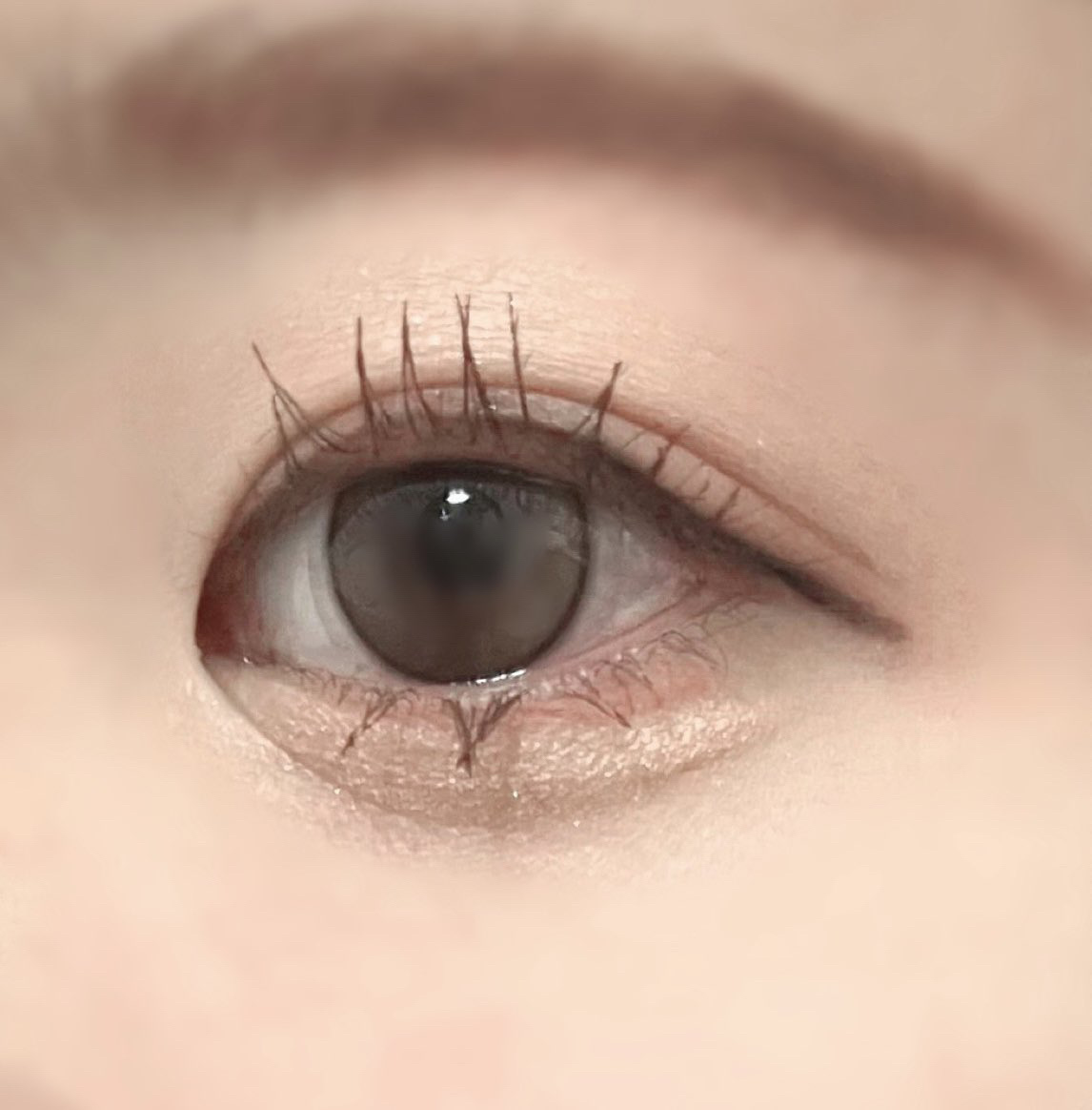 オールデイ ロング アンド カール マスカラ/Milk Touch/マスカラを使ったクチコミ（2枚目）