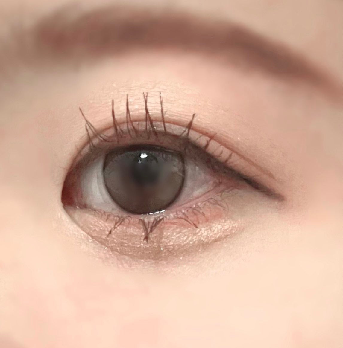 エテュセ アイエディション (マスカラベース)/ettusais/マスカラ下地を使ったクチコミ(2枚目)