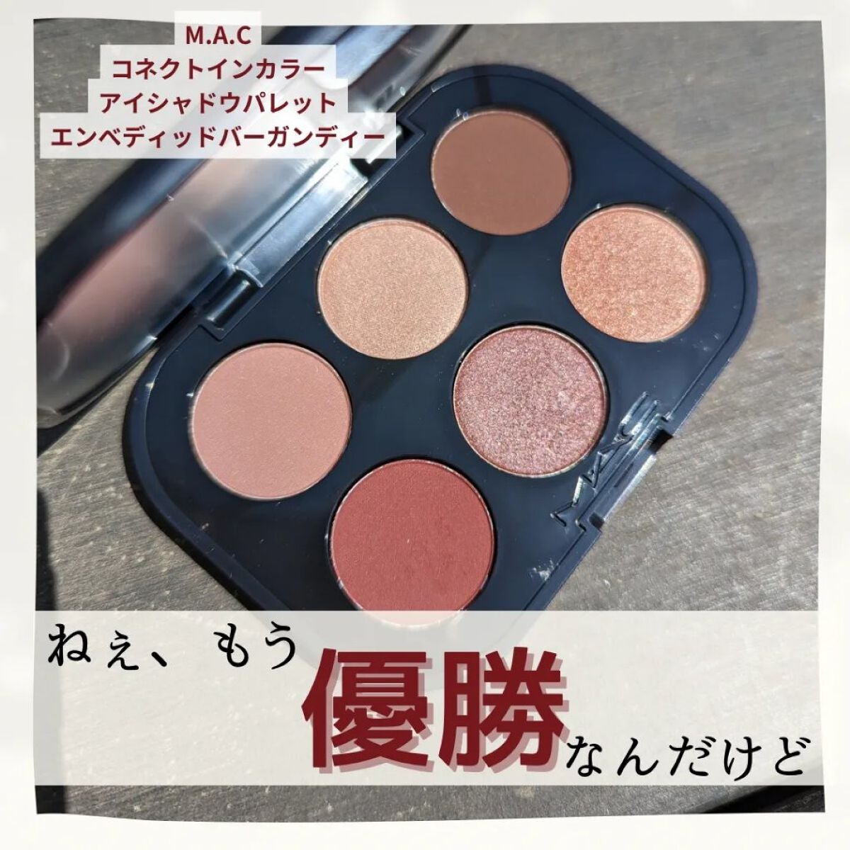 コネクト イン カラー アイシャドウ パレット × 6/M・A・C/アイシャドウパレットを使ったクチコミ(1枚目)