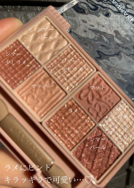 プティパレットアイズ/キャンメイク/パウダーアイシャドウを使ったクチコミ(6枚目)