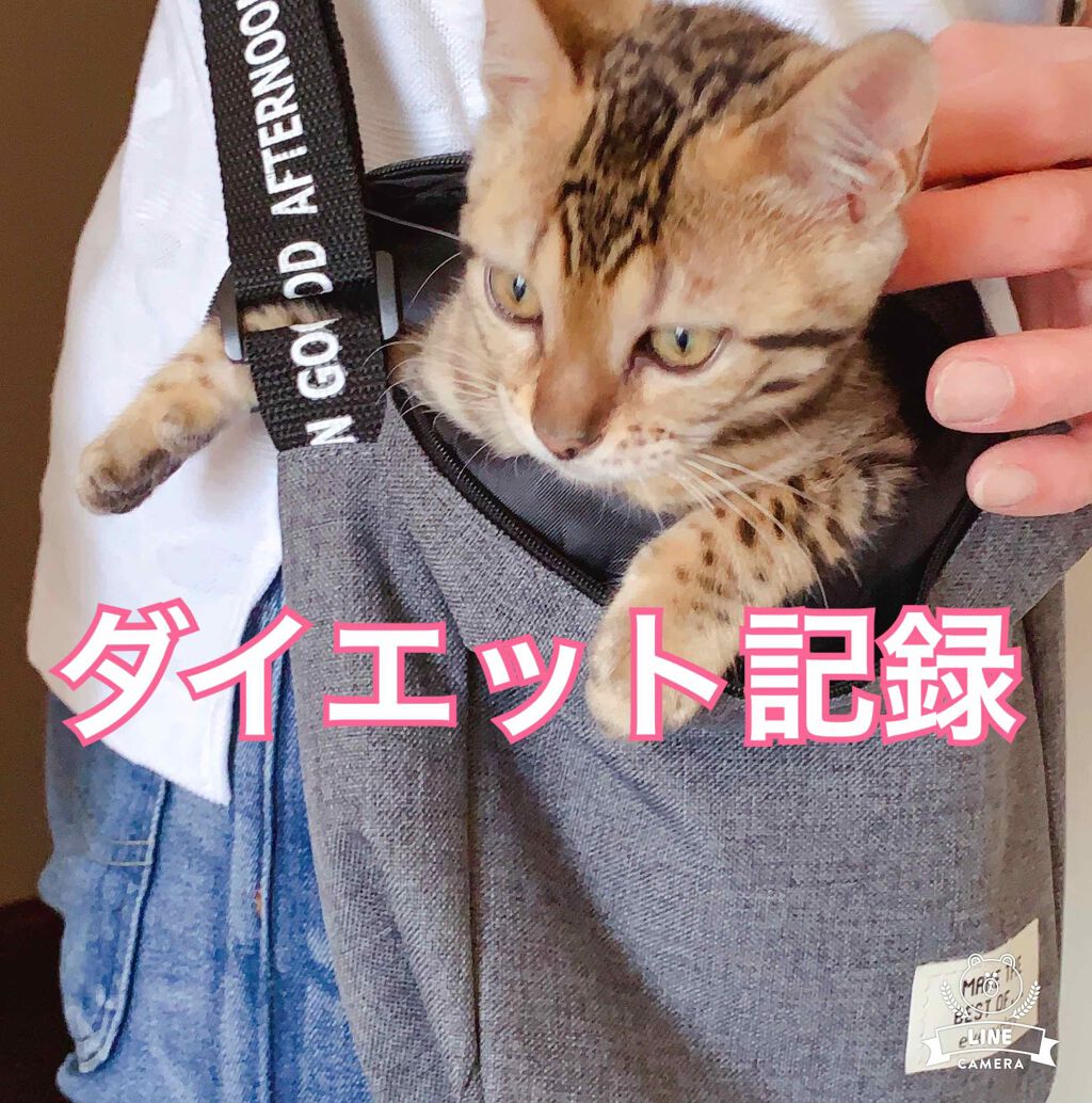 自己紹介/雑談/その他を使ったクチコミ（1枚目）