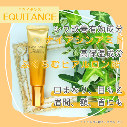 リンクルアプローチEX/エクイタンス/フェイスクリームを使ったクチコミ(1枚目)