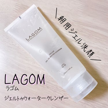 ラゴム ジェルトゥウォーター クレンザー(朝用洗顔)/LAGOM /洗顔フォームを使ったクチコミ（1枚目）