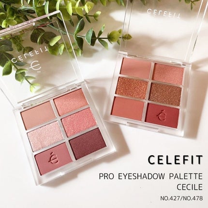 プロアイシャドウパレットセシル/CELEFIT/アイシャドウパレットを使ったクチコミ(1枚目)