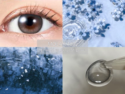 MOLAK 1day/MOLAK/ワンデー(1DAY)カラコンを使ったクチコミ(1枚目)