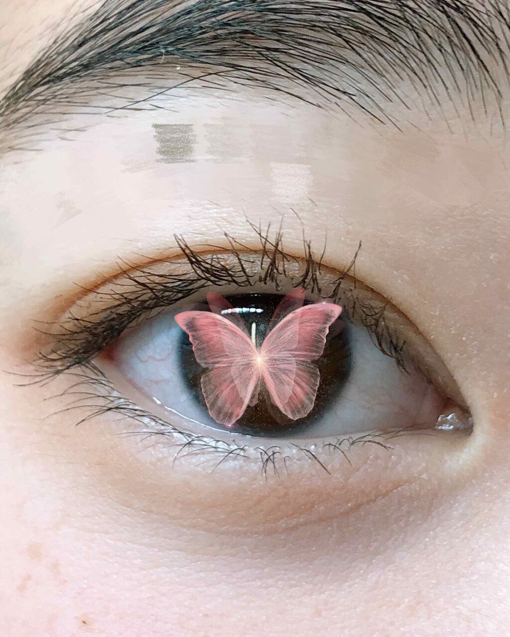 パーフェクトマルチアイズ/キャンメイク/アイシャドウパレットを使ったクチコミ（1枚目）