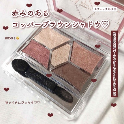 パーフェクトスタイリストアイズ/キャンメイク/アイシャドウパレットを使ったクチコミ(1枚目)