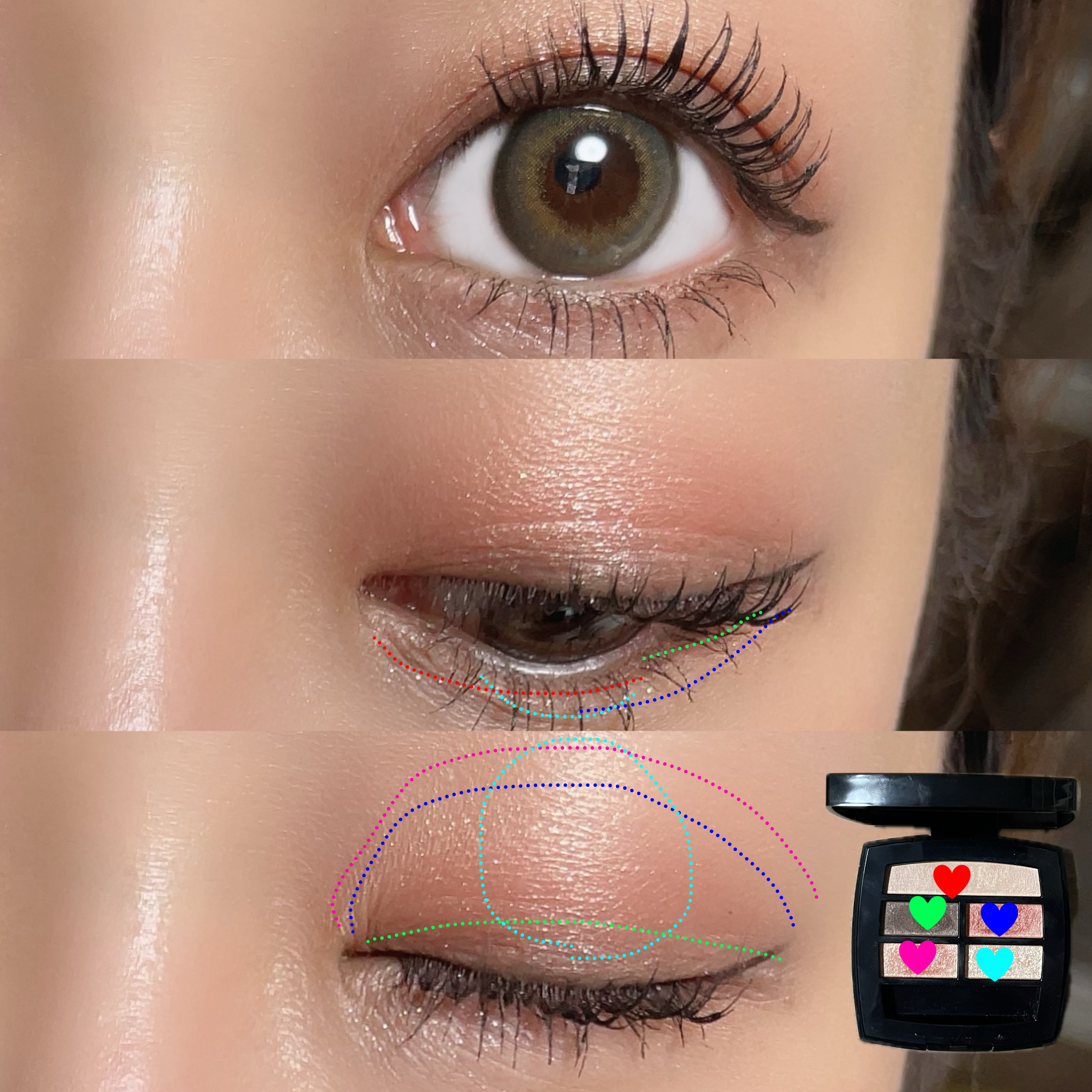 レ ベージュ パレット ルガール/CHANEL/アイシャドウパレットを使ったクチコミ（3枚目）