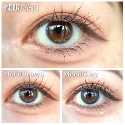 Moodnight 1day/OLENS/カラーコンタクトレンズを使ったクチコミ(3枚目)