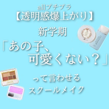 パーフェクトマルチアイズ/キャンメイク/アイシャドウパレットを使ったクチコミ（1枚目）