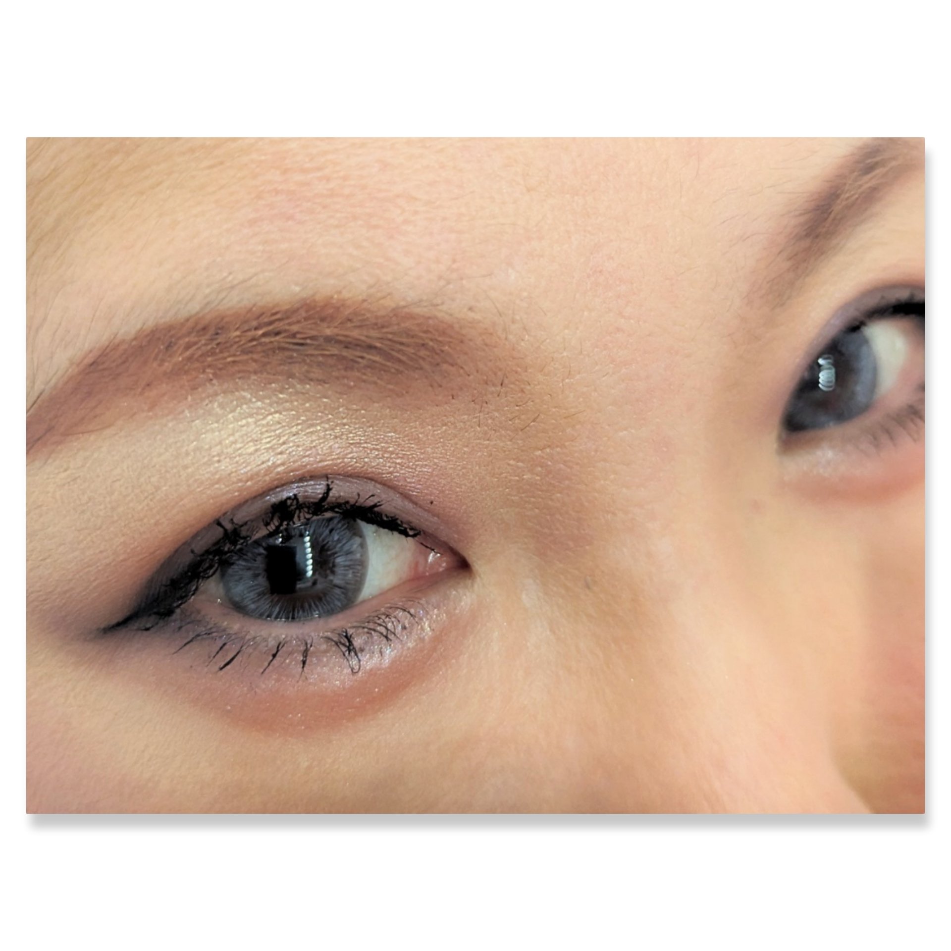 グロッシーリッチ アイズ N/Visée/アイシャドウパレットを使ったクチコミ（2枚目）