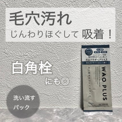 skinmarche WAOPLUS プロフェッショナルクレイパック/ブレーンコスモス/洗い流すパック・マスクを使ったクチコミ(1枚目)