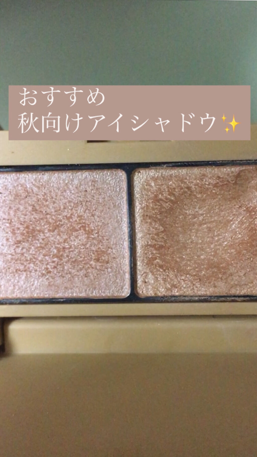 エテュセ アイエディション(カラーパレット) 03 ウォームブラウン/ettusais/アイシャドウパレットを使ったクチコミ（1枚目）