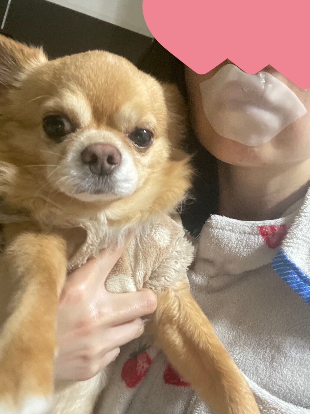 ミルキー うるりんリップパック/CHOOSY/リップマスクを使ったクチコミ(5枚目)