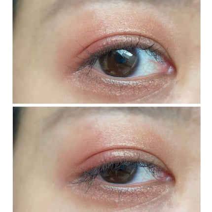 エッセンシャリスト アイパレット 08 Jizoh Street Reds/SHISEIDO/アイシャドウパレットの画像