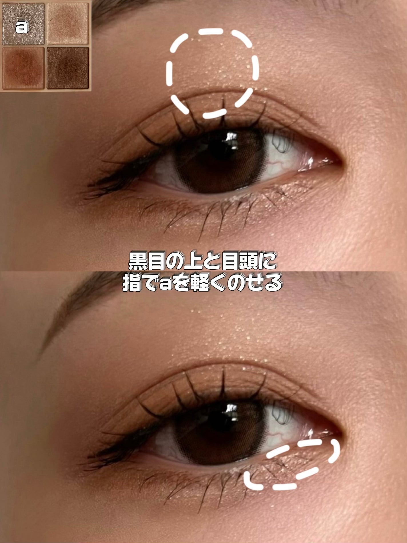 ベージュトーンアイシャドウ/CEZANNE/アイシャドウパレットを使ったクチコミ(6枚目)