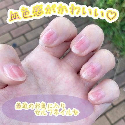 を使ったクチコミ(1枚目)