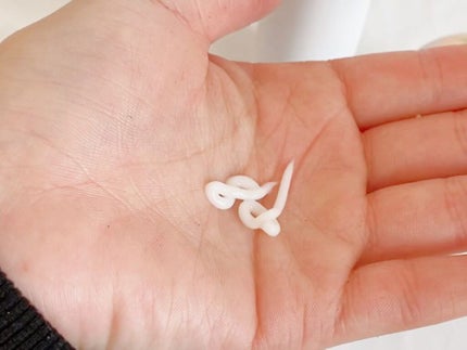 メラノフォーカスZ/HAKU/美容液を使ったクチコミ(3枚目)