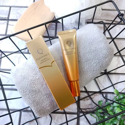 リンクルアプローチEX/エクイタンス/フェイスクリームを使ったクチコミ(1枚目)