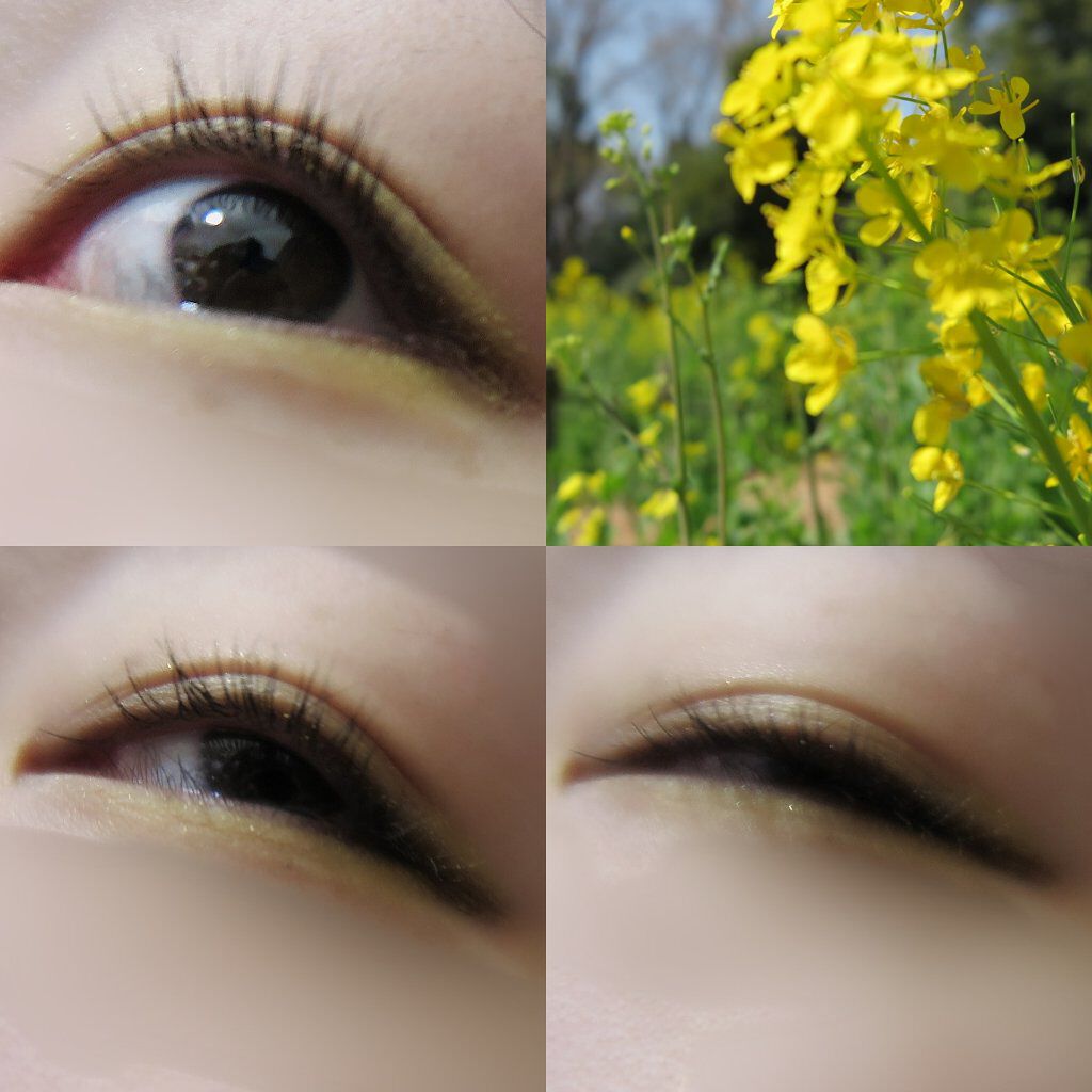 パウダー&ライナー/sopo/スティックアイシャドウを使ったクチコミ(2枚目)