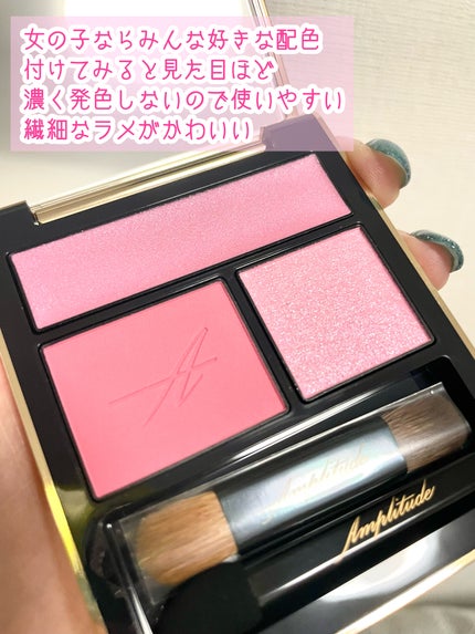 コンスピキュアス アイズ/Amplitude/アイシャドウパレットを使ったクチコミ(2枚目)