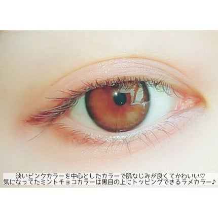 チョコミント スペシャルキット/ETUDE/メイクアップキットを使ったクチコミ(6枚目)