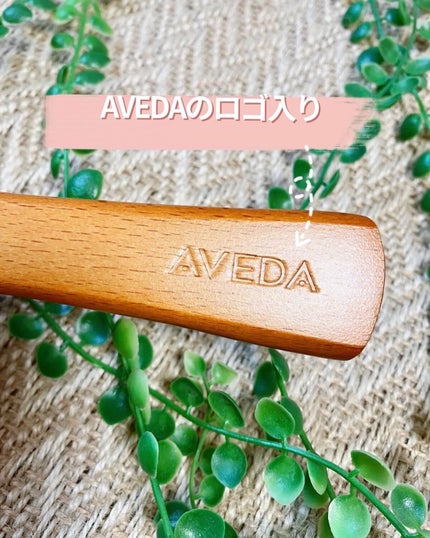 パドル ブラシ/AVEDA/ヘアブラシを使ったクチコミ(2枚目)
