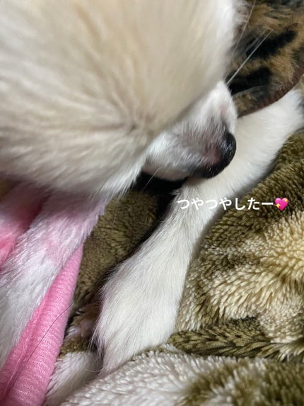 ワセリンHG チューブ (化粧用油)/大洋製薬/ボディクリームを使ったクチコミ(6枚目)