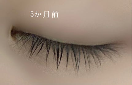 EMAKED(エマーキット)/水橋保寿堂製薬/まつげ美容液を使ったクチコミ(3枚目)