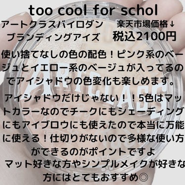 ARTICLASS BLENDING EYES/too cool for school/アイシャドウパレットを使ったクチコミ（2枚目）