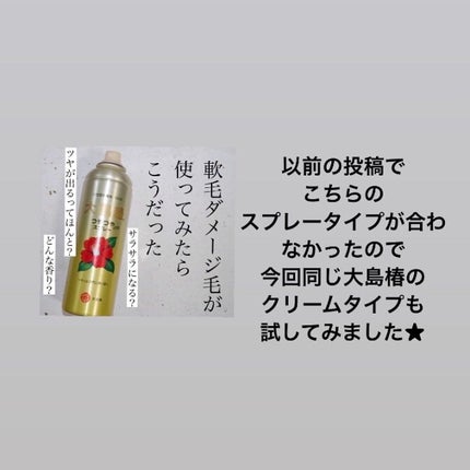ヘアクリーム しっとり/大島椿/ヘアワックス・クリームを使ったクチコミ(2枚目)
